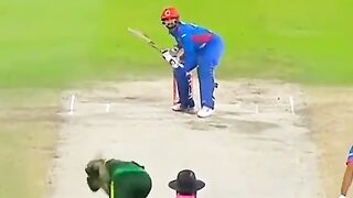 Ihsan ullah genuine fast bowlers very very quick