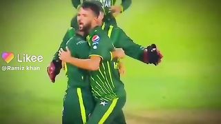 Cricket 10