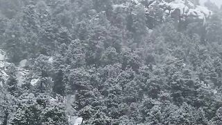 Snow Mountain