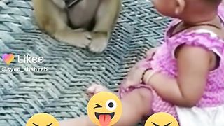 MONKEY ALSO LIKE MOBILE PHONE.