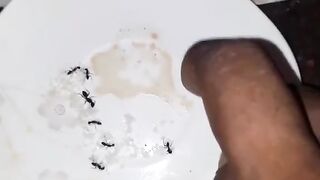 Funny video 325