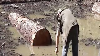 Day at work at a steam-powered sawmill