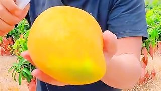 Fruits 4