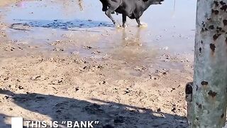 Guy rides an angry bull, and it doesn't go quite to plan