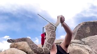 JJ caught a huge rattlesnake after discovering a den in the desert!