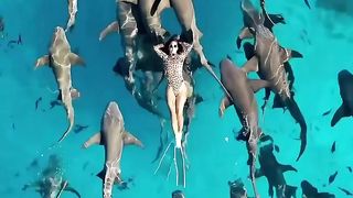 Amazing Animal Moments!