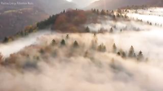 Musique Des Anges Et Des Archanges • Musique Pour Guérir Toutes Les Douleurs Du Corps Et De L'esprit