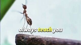 Wrong People Teach You Wrong