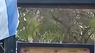 Why are crows tearing the Israeli flag?