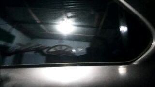 My car is xenia
