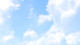 Nature 15