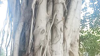 amazing tree