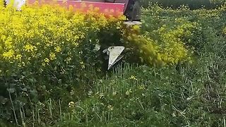 УСПЕШНА  ГРАДИНА
