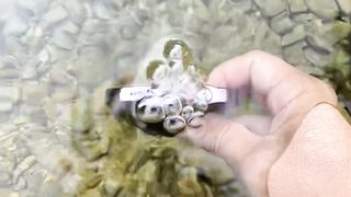 Underwater world