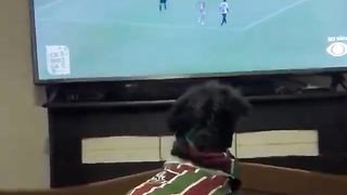Game lover 2