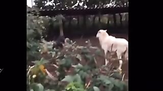 Compilation Des Moments Les Plus Drôles de l'année % #5