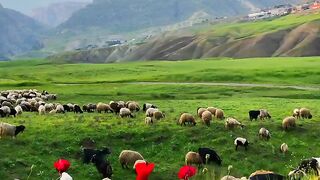 Nature beauti 2