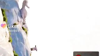 Fizika qonunlariga zid video