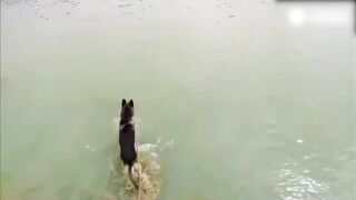 The army can not cross the river
