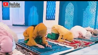 New status video 2023 27