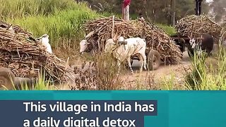 Educated village