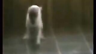 Funny compilation 9