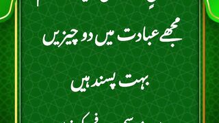 Mujhe Ebadat Mei Dou Cheezen Bohot