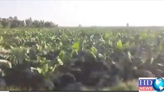 منگلا ڈیم کے پانی سے سمندر کے پانی تک کا سفر