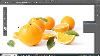 How to cut image in illustrator