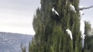 Nature 16