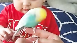 parrot and girl #parrot #girl #video