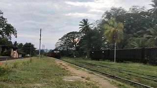 Train sri Lanka Beautiful Island Paradise