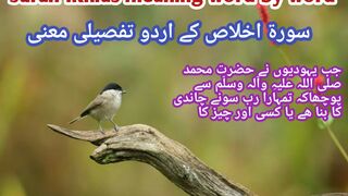 #surahikhlas l Surah ikhlas with Urdu translation ???? l surah ikhlas meaning word by word ????
