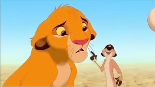 Roi lion