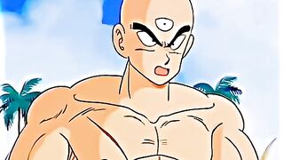Goku vs Ten Shin Han retire c'est poids