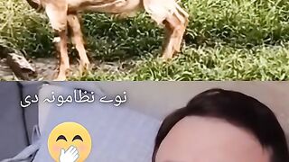 Just funny 2