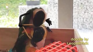 Animal Doodling. If animals were hands | funny Doodle art