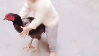 Fane video 2
