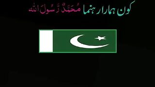 یہ سانپ ہم نے پالے ہیں