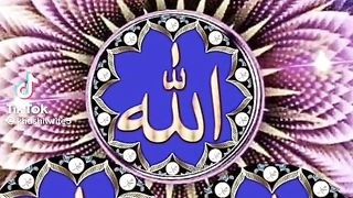 video 15