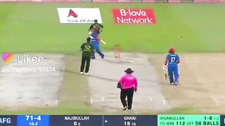 Cricket 11