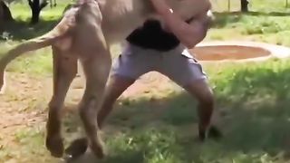 Animal lover 2