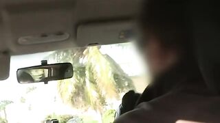 La forêt Guadeloupéenne, l'endroit idéal pour faire de la mécanique