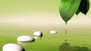 Zen Spa Music for deep relaxation and tranquil spirits (With Babbling Brook)