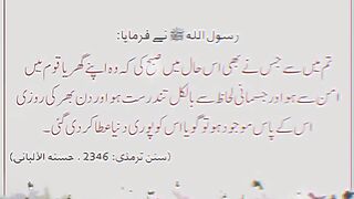 Dunia jhaa k Malik ap b hain||You are also the owner of the world #Islamicstatus #Spreadislam @Kashafbutt