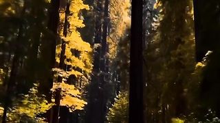 #shortvideo #love#viralvideo #trendingshorts #shortsviral #youtubeshorts 2