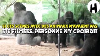 Voici les vidéos les plus étranges au monde
