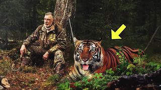 Voici l'histoire qui a choqué le monde animal 2