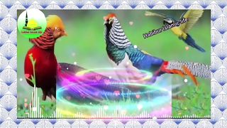 Islamic song short video 3