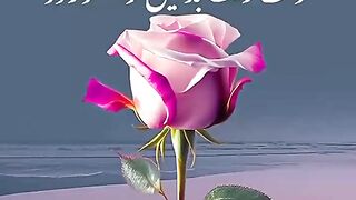 Ahmadwaseem 4